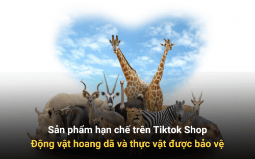 Sản phẩm hạn chế trên Tiktok Shop Động vật hoang dã và thực vật được bảo vệ