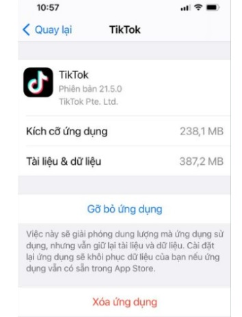 Xóa ứng dụng Tiktok và bắt đầu đăng nhập lại